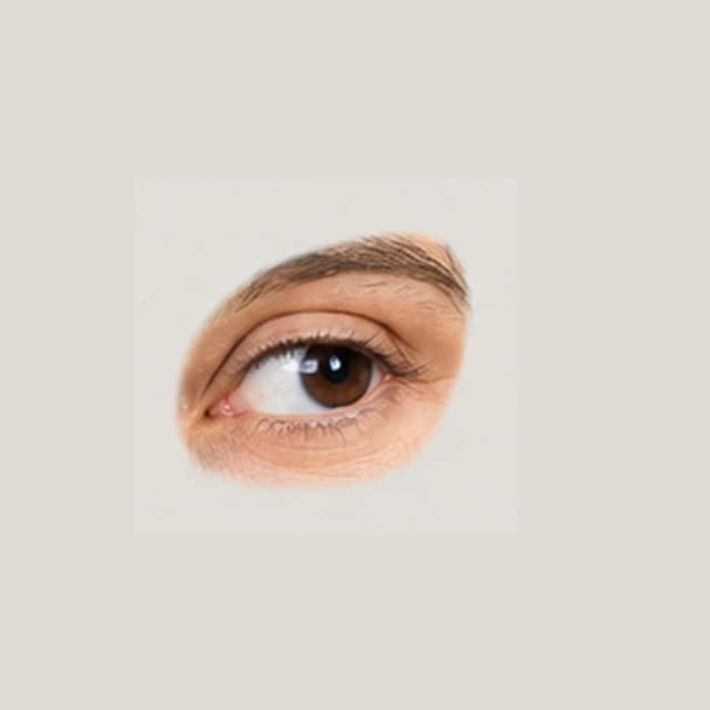 Eyes — Direction & Gaze reference 2