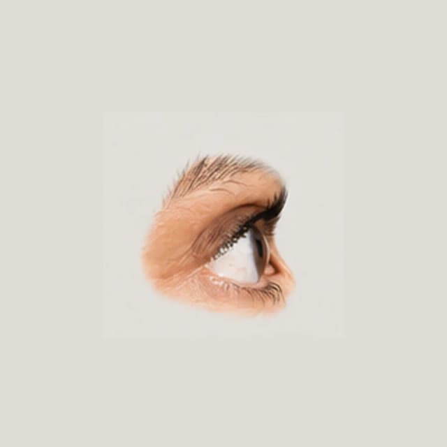 Eyes — Direction & Gaze reference 3